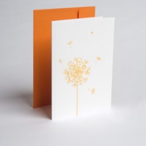 Atvirukai Piene Oranzine 3