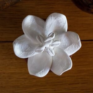 Kvapu Difuzoriai Gele Jasmin D Orient