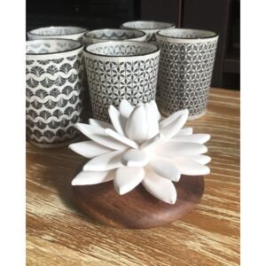 Kvapu Difuzoriai Gele Lotus Des Indes 2