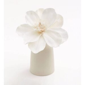 Kvapu Difuzoriai Mana Beige