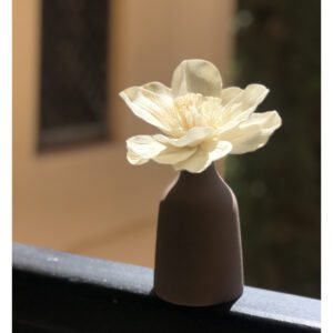 Kvapu Difuzoriai Mana Cafe