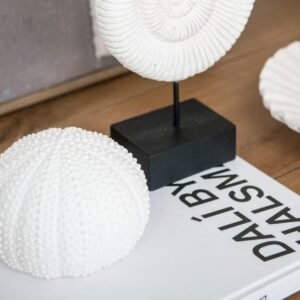 Namu Dekoracijos Sea Urchin O14x10 Cm 2