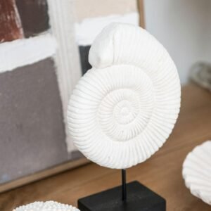 Namu Dekoracijos Shell 16x7x25 Cm 2