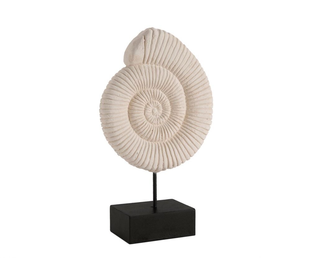 Namu Dekoracijos Shell 16x7x25 Cm 3