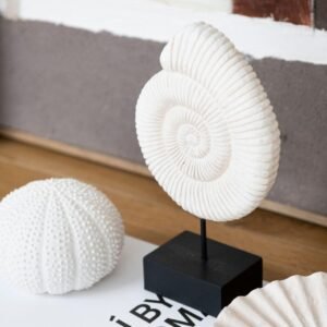 Namu Dekoracijos Shell 16x7x25 Cm