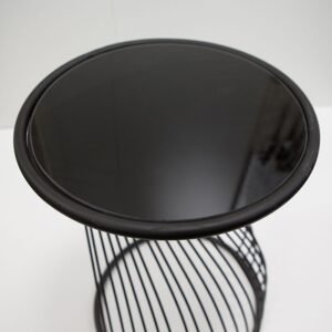 Soninis Staliukas Ray