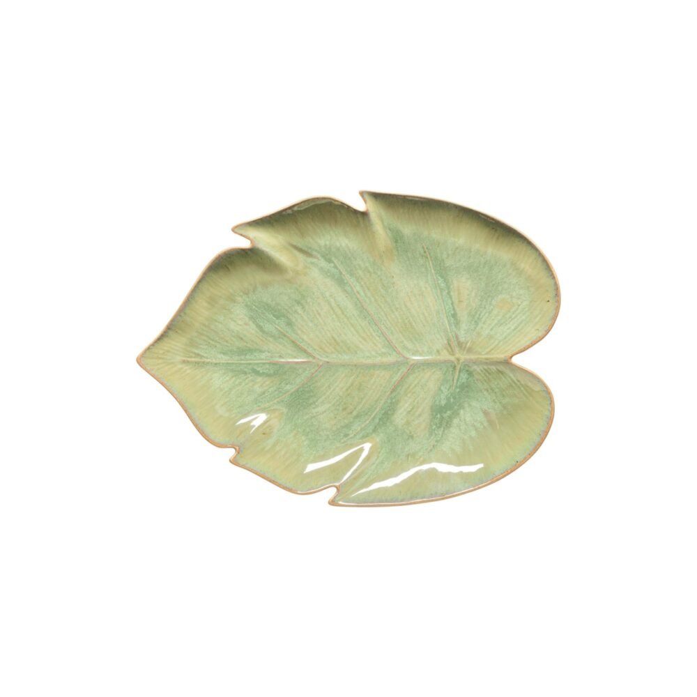 Lekste Monstera 2