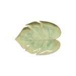 Lekste Monstera 2