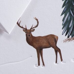 Kalediniai Atvirukai Elnias Ir Egles