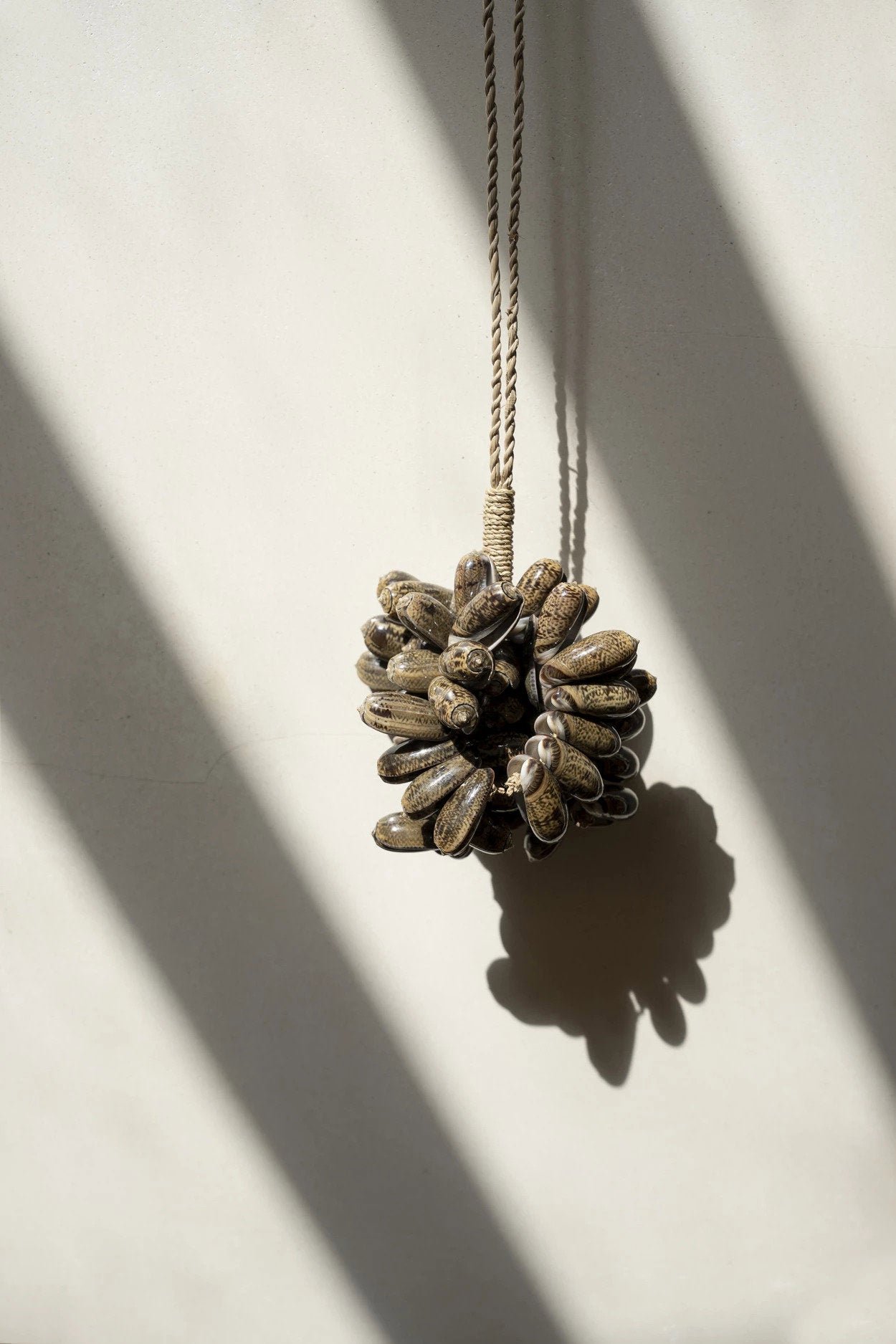 Sienos dekoracija „Cowrie Shell“ - Image 3