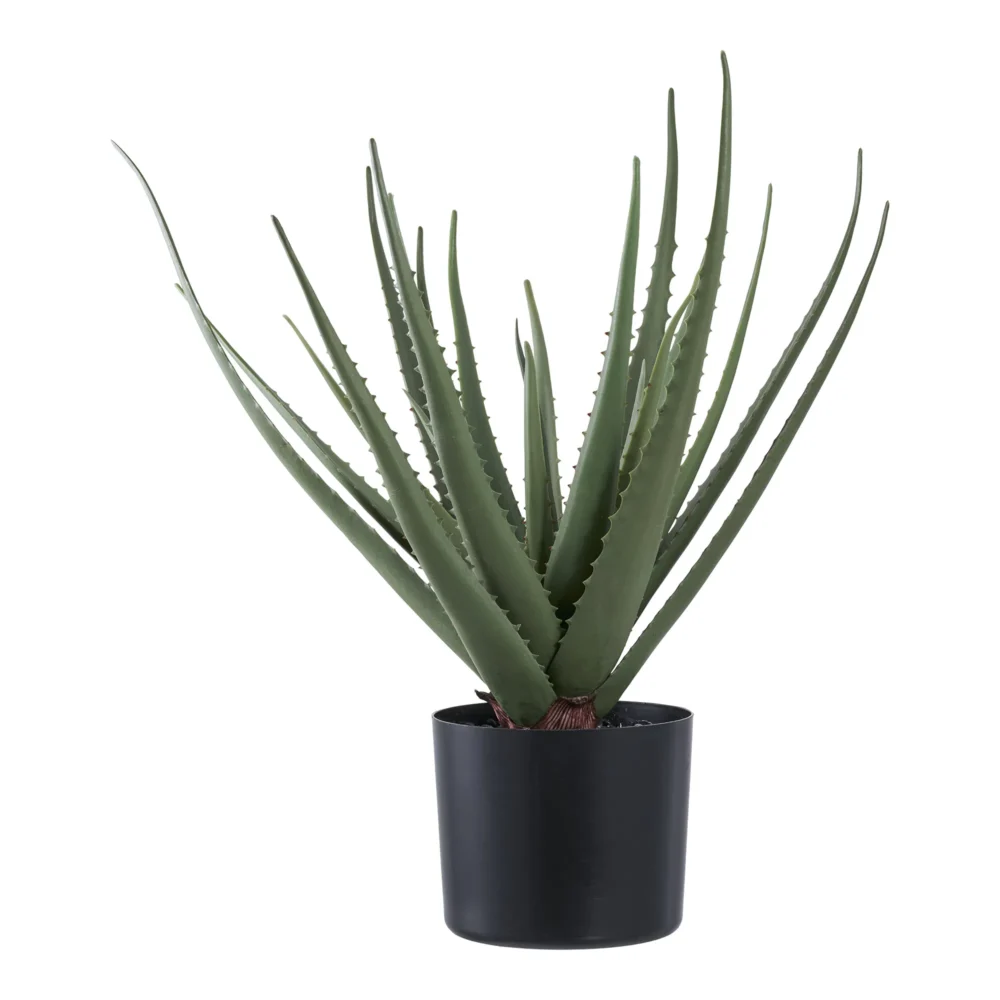 Dirbtine Gele Aloe Vera 51cm