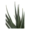 Dirbtine Gele Aloe Vera 51cm 2