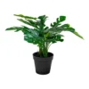 Dirbtine Gele Monstera 45cm