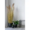 Dirbtine Gele Sorghum Grass 110cm 4