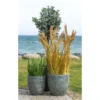 Dirbtine Gele Sorghum Grass 110cm 7