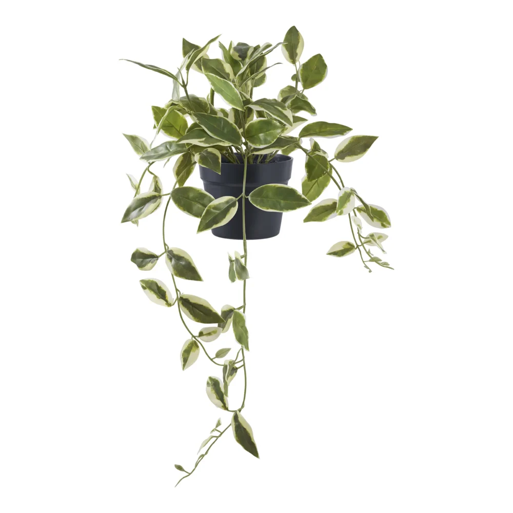 Dirbtine Gele Voksblomst