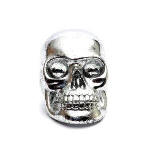 Statulėlė Resin Skull Head – sidabrinė, L