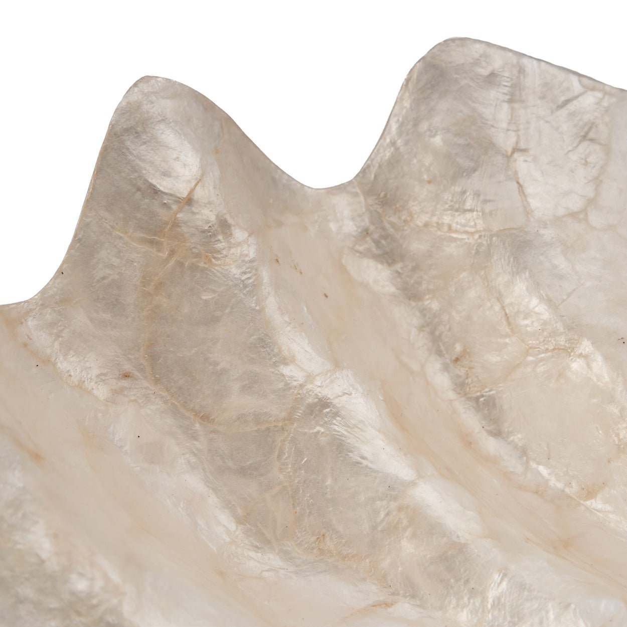 Vonios aksesuaras Mother of Pearl – baltas, M - Image 4