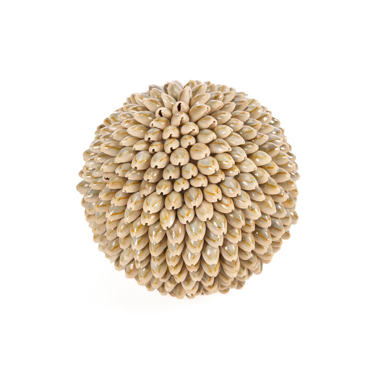 Dekoro akcentas Oluolu Shell Ball – balta, L - Image 2