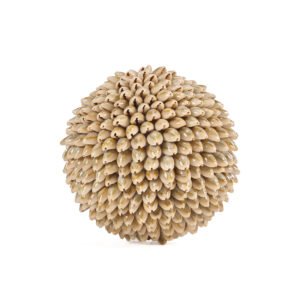 Dekoro akcentas Oluolu Shell Ball – balta, L