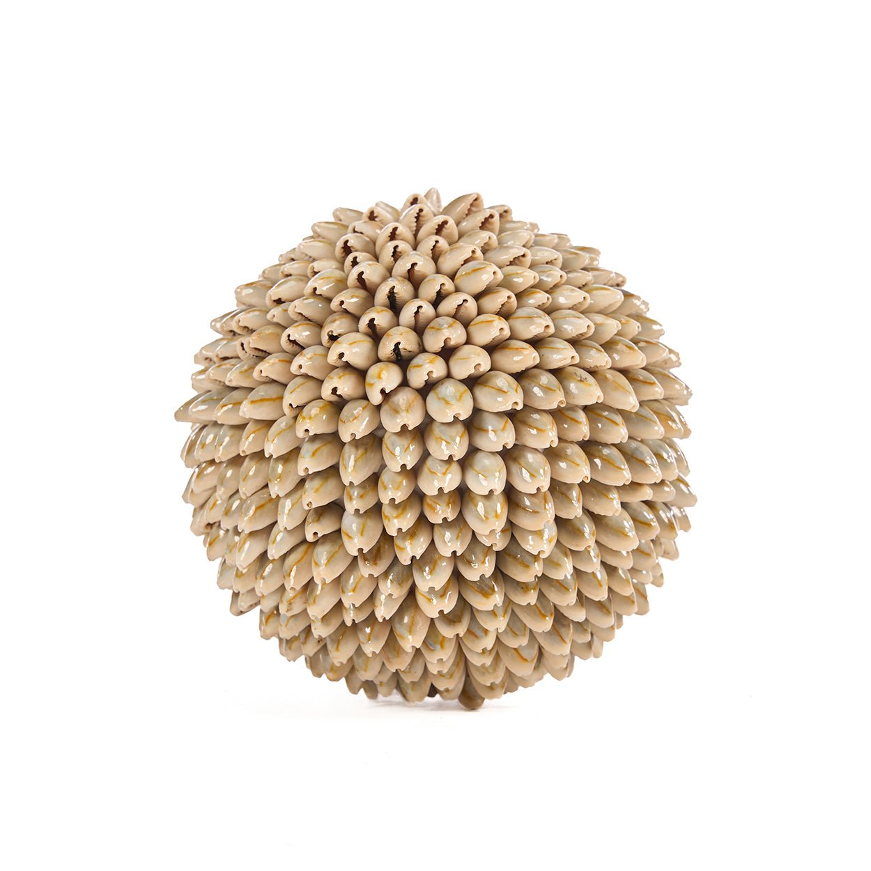 Dekoro akcentas Oluolu Shell Ball – balta, L