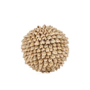 Dekoro akcentas Oluolu Shell Ball – balta, M