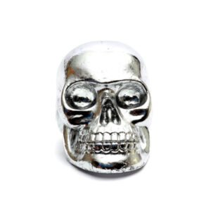 Statulėlė Resin Skull Head – sidabrinė, M