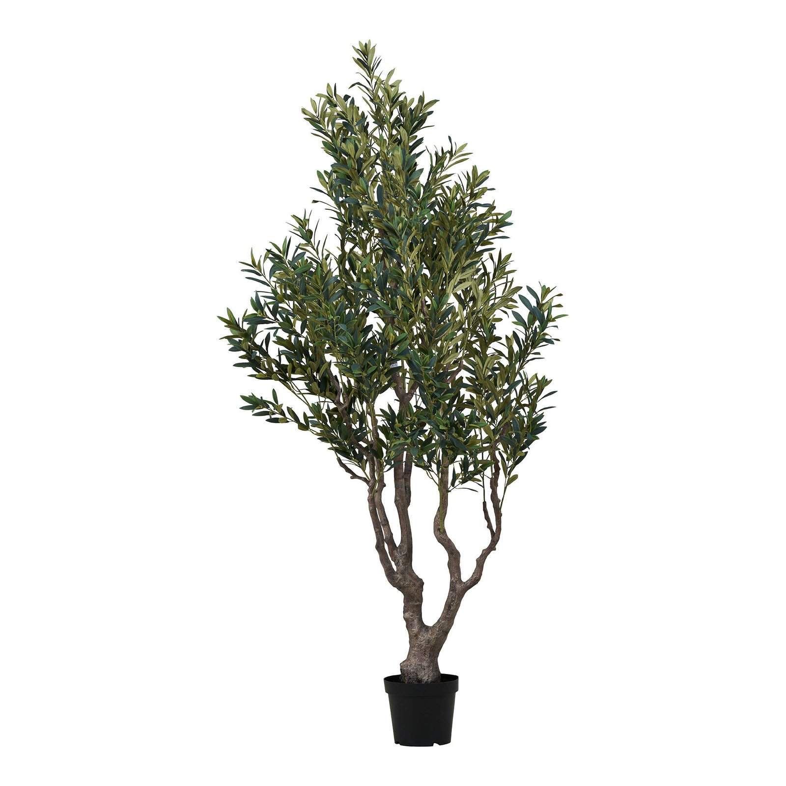 Dirbtinis medis Olive