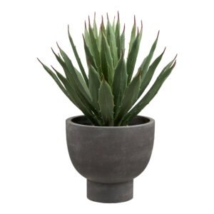 Dirbtinis augalas Agave
