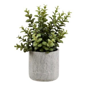 Dirbtinis augalas Succulent