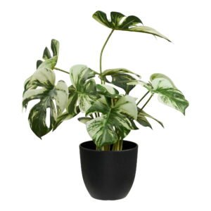 Dirbtinis augalas Monstera
